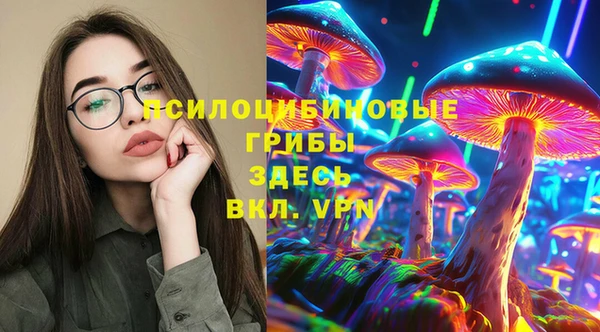 ГАЛЛЮЦИНОГЕННЫЕ ГРИБЫ Зерноград