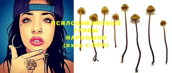 ГАЛЛЮЦИНОГЕННЫЕ ГРИБЫ Зерноград