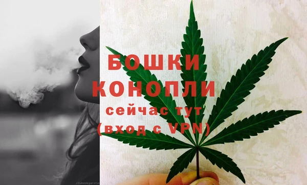 ГАЛЛЮЦИНОГЕННЫЕ ГРИБЫ Зерноград