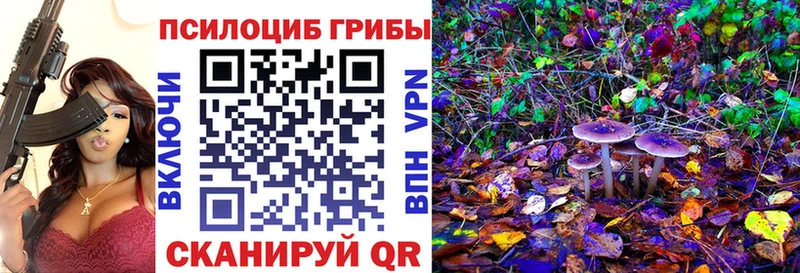 Купить где  Верещагино  Псилоцибиновые грибы Cubensis 
